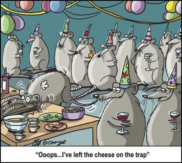 New Funny Collection of Cartoons