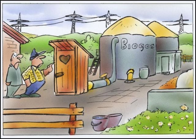 New Funny Collection of Cartoons