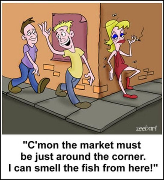 New Funny Collection of Cartoons