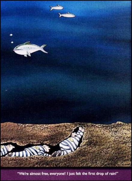 New Funny Collection of Cartoons