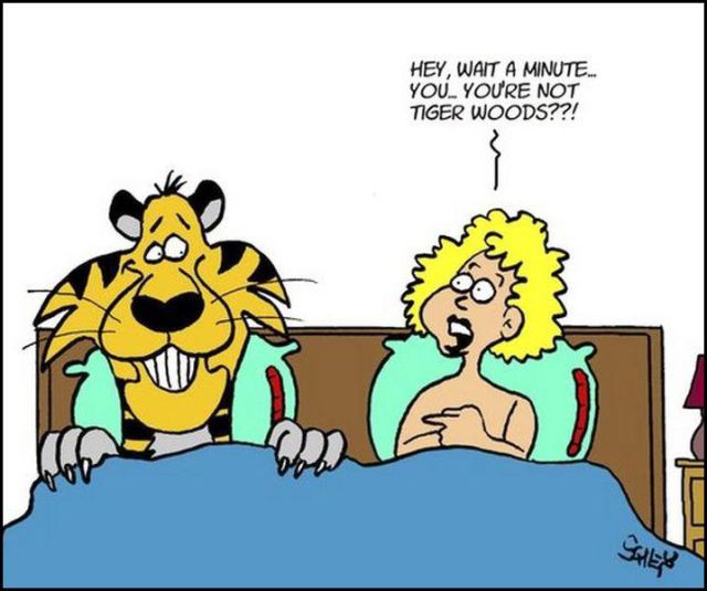 New Funny Collection of Cartoons