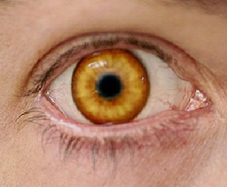 Eerie Eyeball Covers