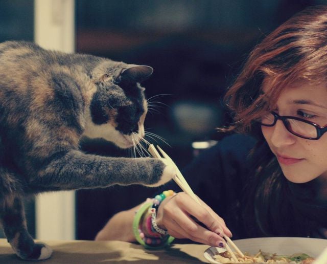 Daily picdump WEEKEND EDITION