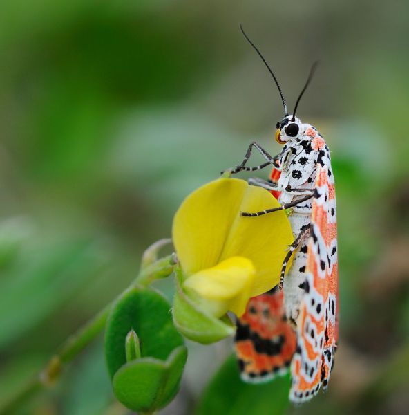 Daily picdump WEEKEND EDITION