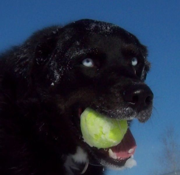 Daily picdump WEEKEND EDITION