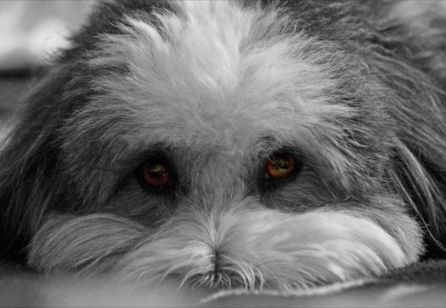 Daily picdump WEEKEND EDITION