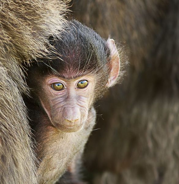 Daily picdump WEEKEND EDITION