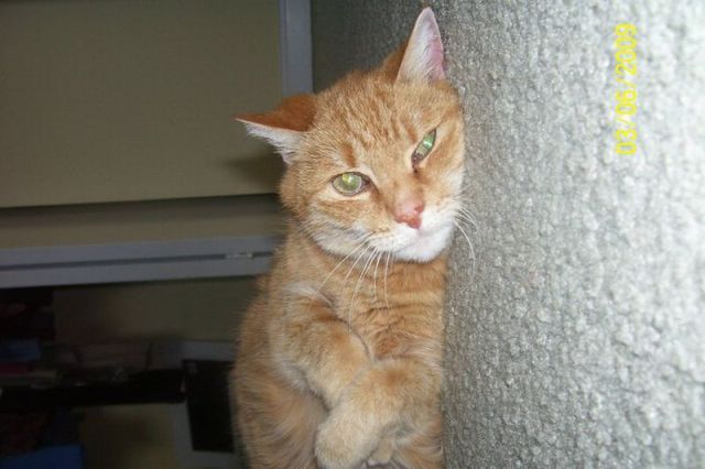 Daily picdump WEEKEND EDITION