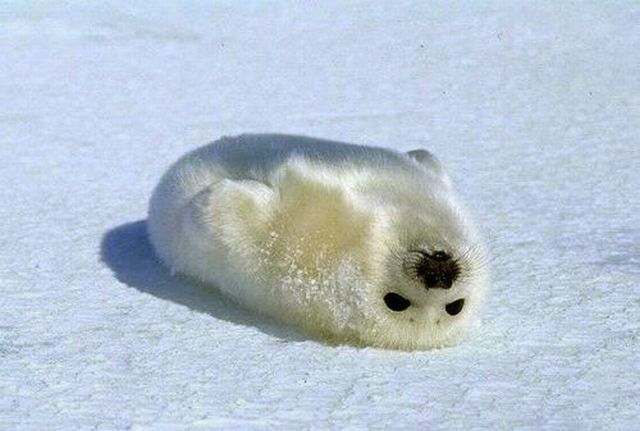 Daily picdump WEEKEND EDITION