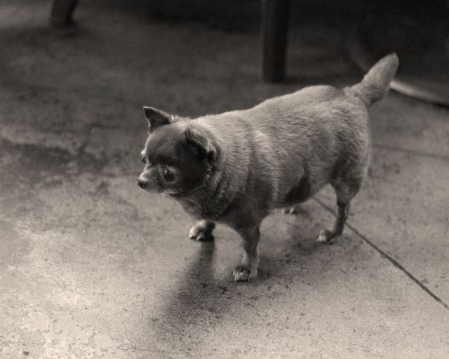 Daily picdump WEEKEND EDITION