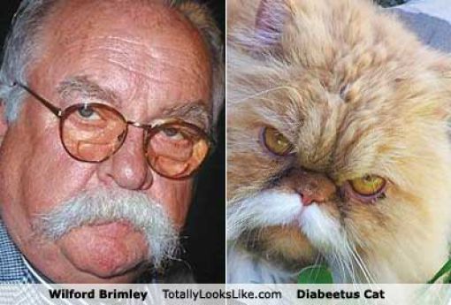 Funny Look Alikes. Part 5
