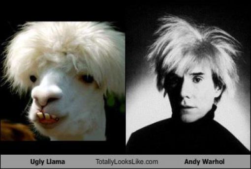 Funny Look Alikes. Part 5