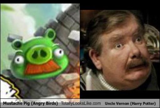 Funny Look Alikes. Part 5