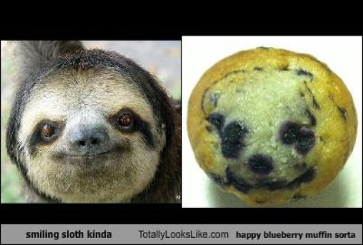 Funny Look Alikes. Part 5