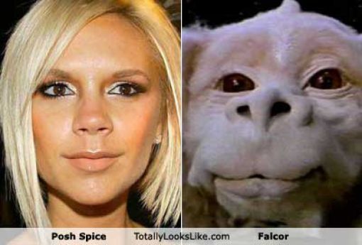Funny Look Alikes. Part 5