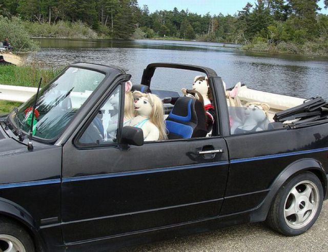 Honey Bear, a Love Doll