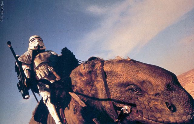 Funny Star Wars Fan Art