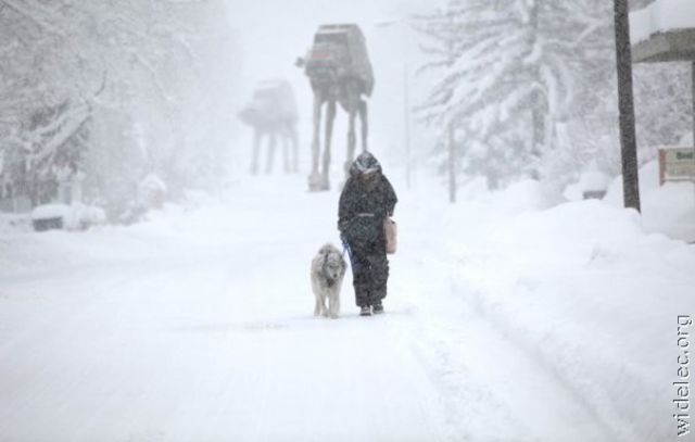 Funny Star Wars Fan Art