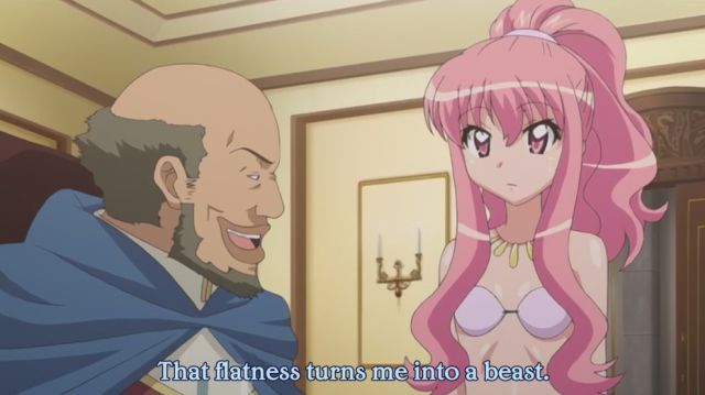 Priceless Anime Subtitle Foolery