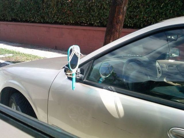 Daily picdump [WEEKEND EDITION]