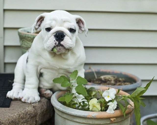 Daily picdump [WEEKEND EDITION]