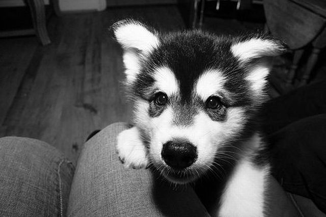 Daily picdump [WEEKEND EDITION]