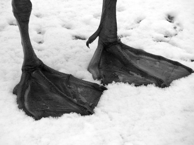 Daily picdump [WEEKEND EDITION]