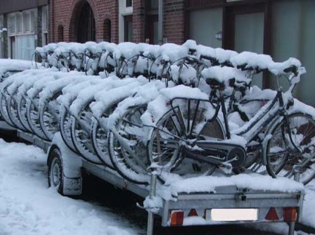 Daily picdump [WEEKEND EDITION]