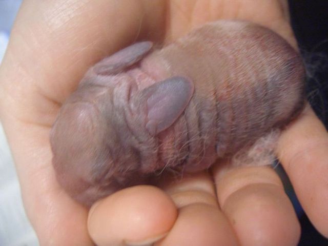 Daily picdump [WEEKEND EDITION]