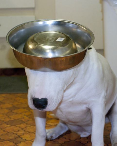 Daily picdump [WEEKEND EDITION]