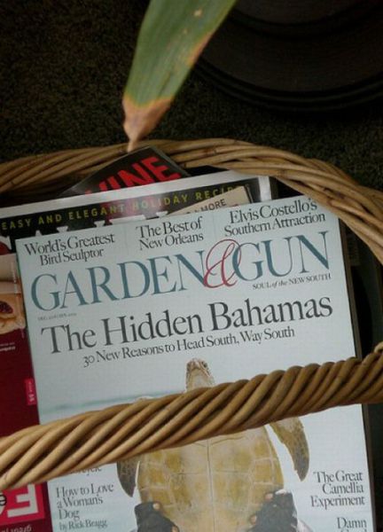 Only in America Scenes Prove Unique and Disturbing