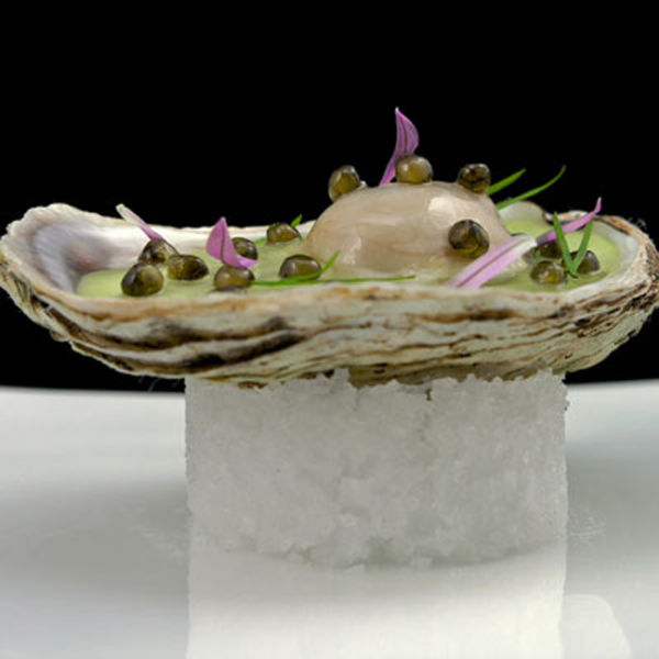 The Most Beautiful Dishes around the Globe