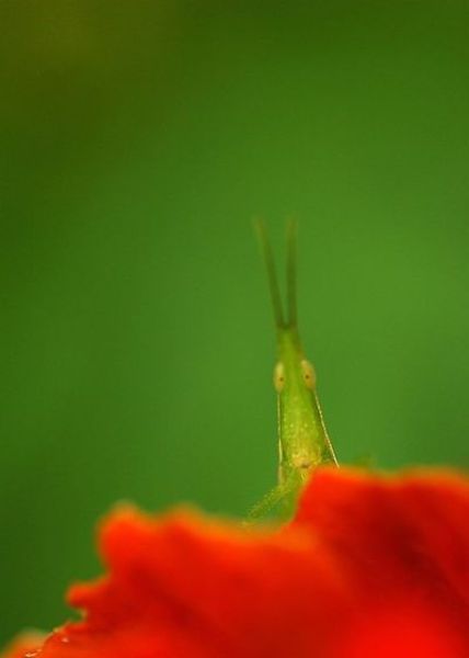 Daily picdump [WEEKEND EDITION]