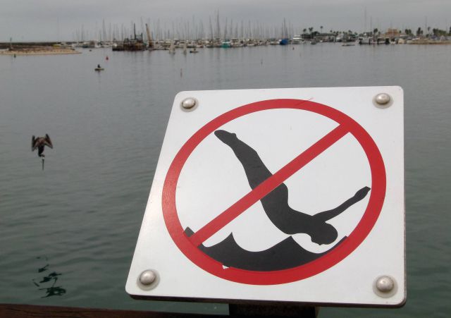 Daily picdump [WEEKEND EDITION]