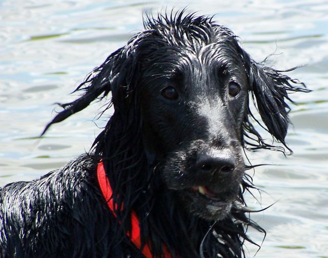 Daily picdump [WEEKEND EDITION]