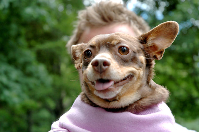 Daily picdump [WEEKEND EDITION]