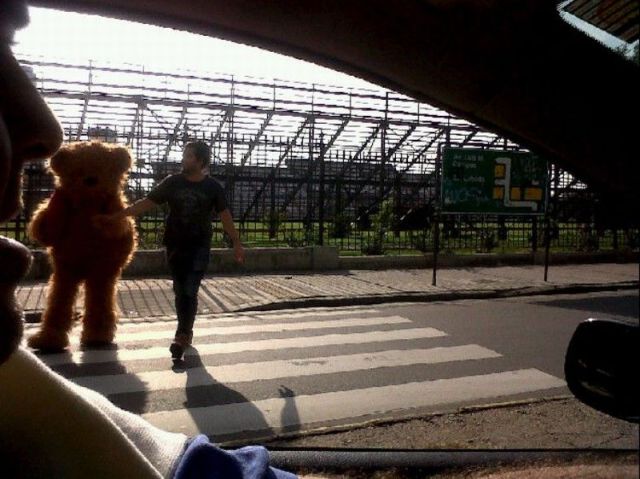 Daily picdump [WEEKEND EDITION]