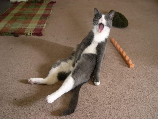 Daily picdump [WEEKEND EDITION]