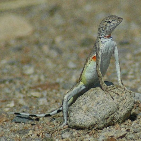 Daily picdump [WEEKEND EDITION]