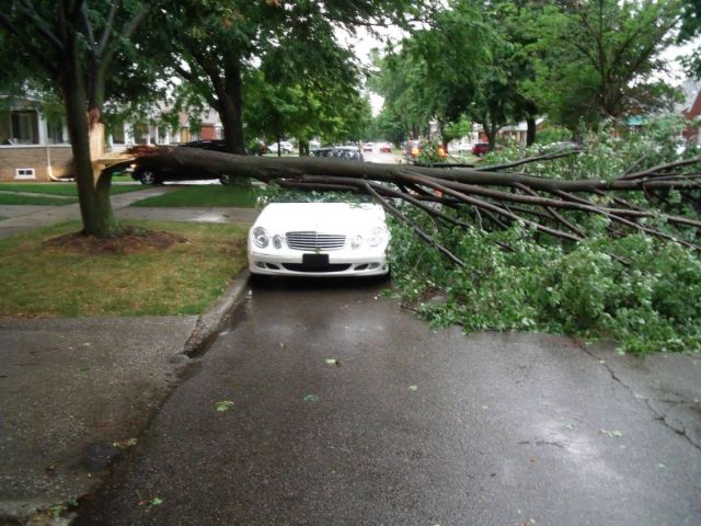 Daily picdump [WEEKEND EDITION]