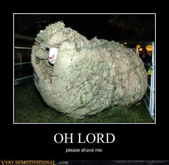 Funny Demotivational Posters. Part 27