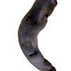 creepy crawly japanese delicacies 9 pics.html - 9 HD Photos | Premium Gallery 2019