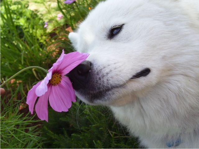 Daily picdump [WEEKEND EDITION]