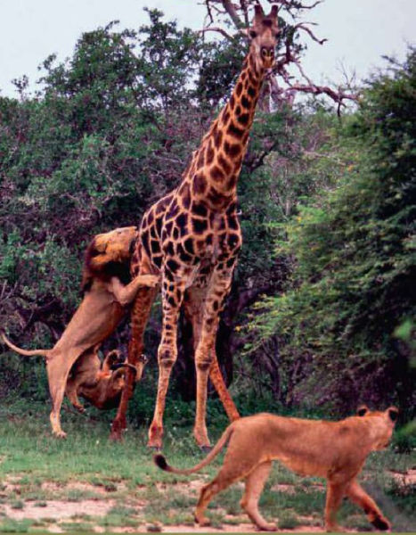 Daily picdump [WEEKEND EDITION]