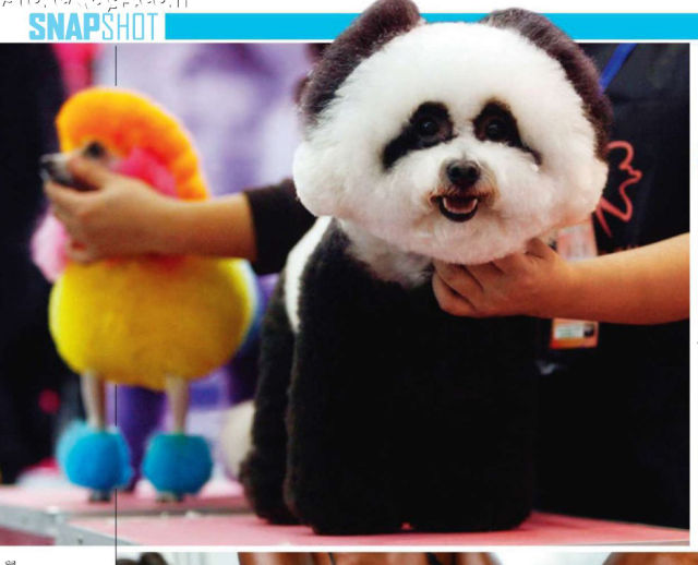 Daily picdump [WEEKEND EDITION]