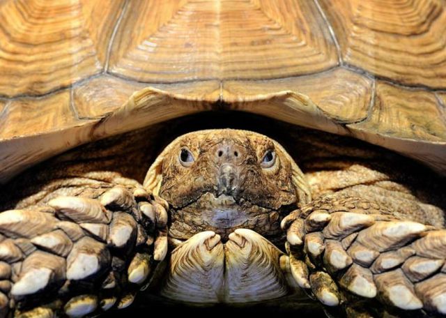 Daily picdump [WEEKEND EDITION]