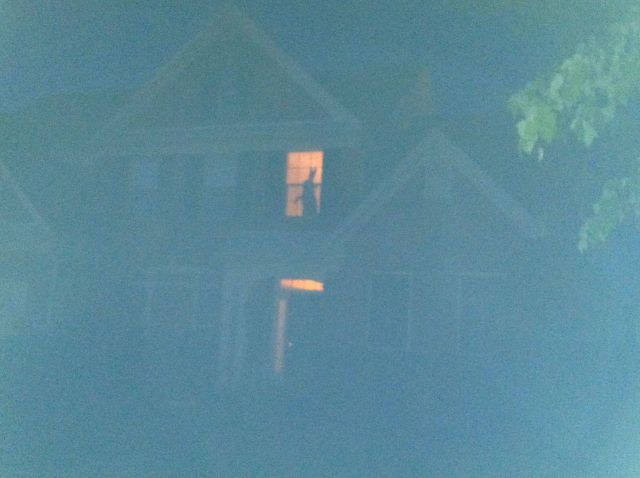 Daily picdump [WEEKEND EDITION]