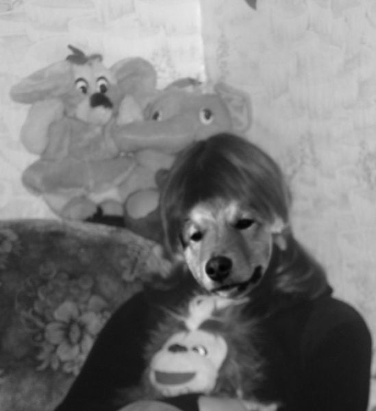 I Have Been Photoshopped!