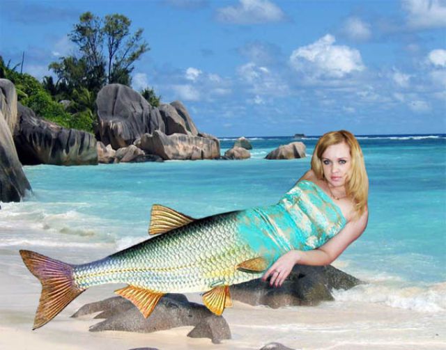 I Have Been Photoshopped!