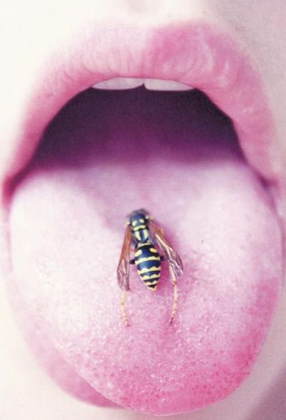 daily picdump 100 pics 38.html - 100 HD Photos | Premium Gallery 2011